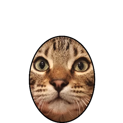 Simba the cat as a reindeer character